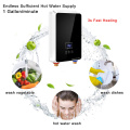 6.5KW-EIW-A4-8 energy saving 12l wall mounted hot water gas boiler instant water heater